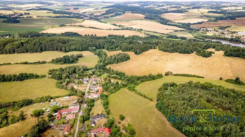 Prodej lesa, Zvěstov, 45954 m2