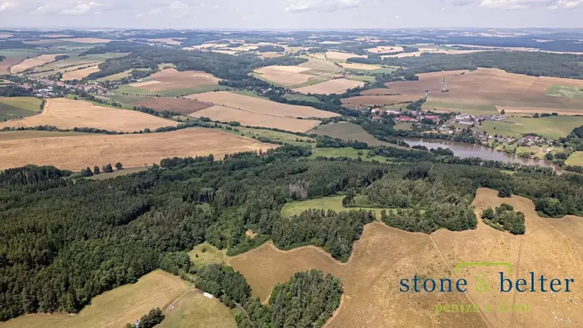 Prodej lesa, Zvěstov, 45954 m2