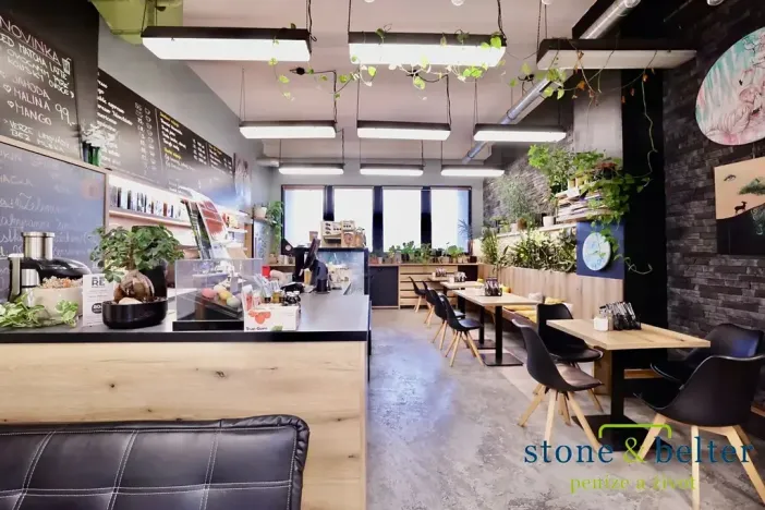 Pronájem obchodního prostoru, Praha - Troja, Lodžská, 254 m2