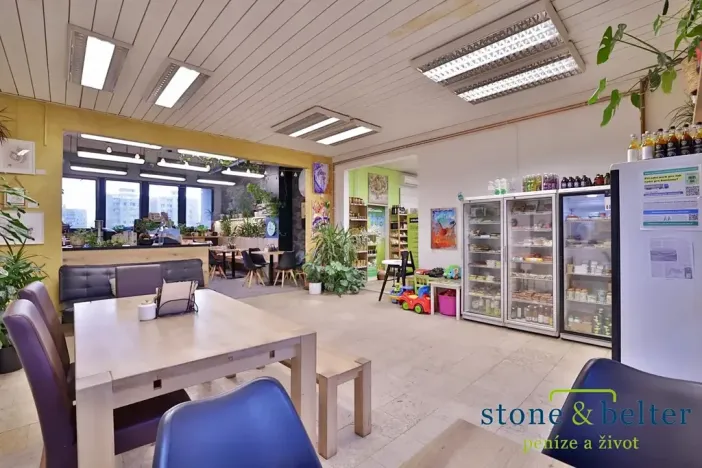 Prodej obchodního prostoru, Praha - Troja, Lodžská, 254 m2