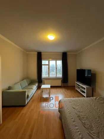 Prodej bytu 1+1, Praha - Strašnice, Pod altánem, 45 m2