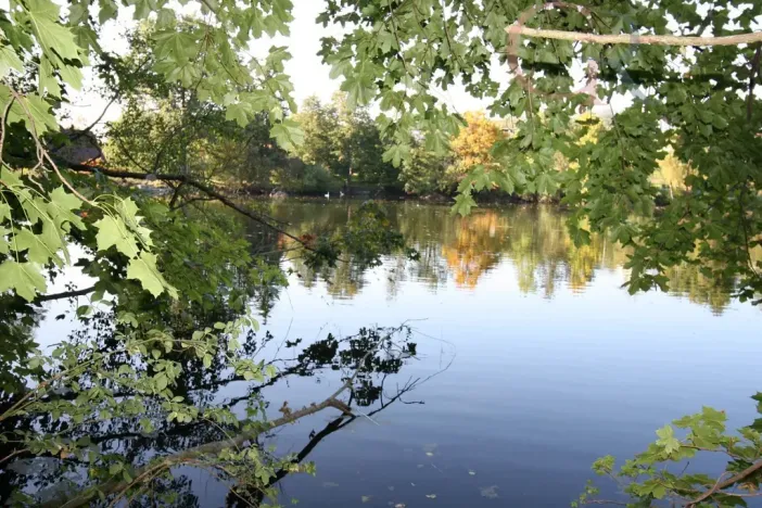 Prodej chaty, Řenče - Vodokrty, 44 m2