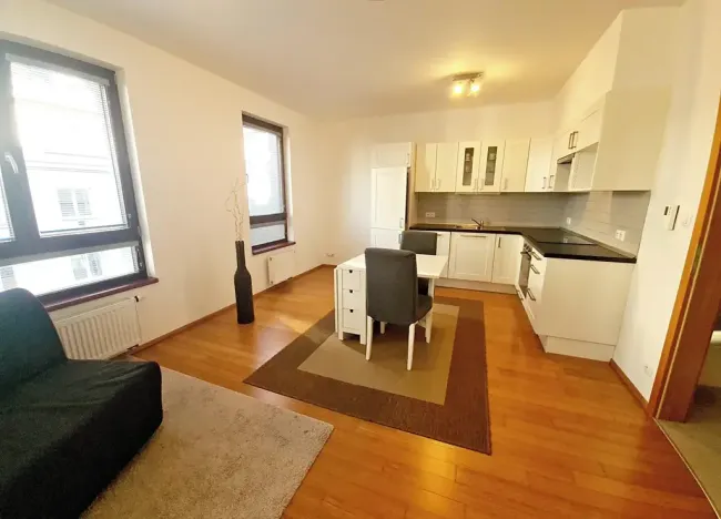 Pronájem bytu 1+kk, Praha - Žižkov, Baranova, 40 m2