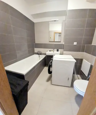 Pronájem bytu 1+kk, Praha - Žižkov, Baranova, 40 m2