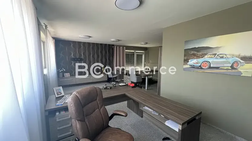 Pronájem komerčního pozemku, Pohořelice, 3700 m2