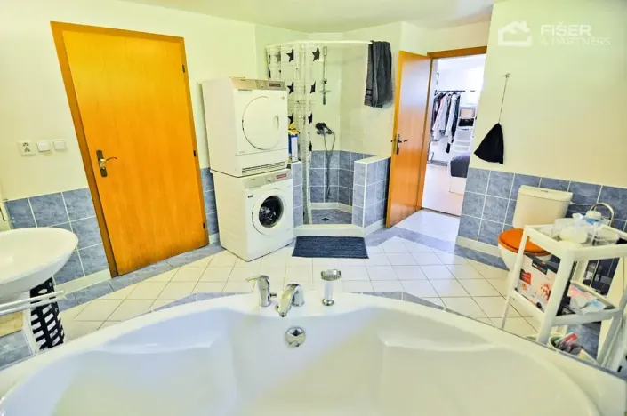 Pronájem bytu 2+kk, Lešná, 120 m2