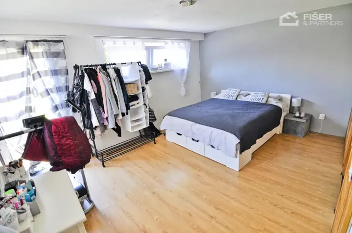 Pronájem bytu 2+kk, Lešná, 120 m2
