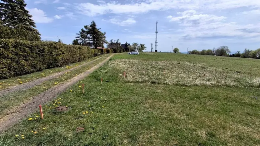 Prodej louky, Osek, 1013 m2