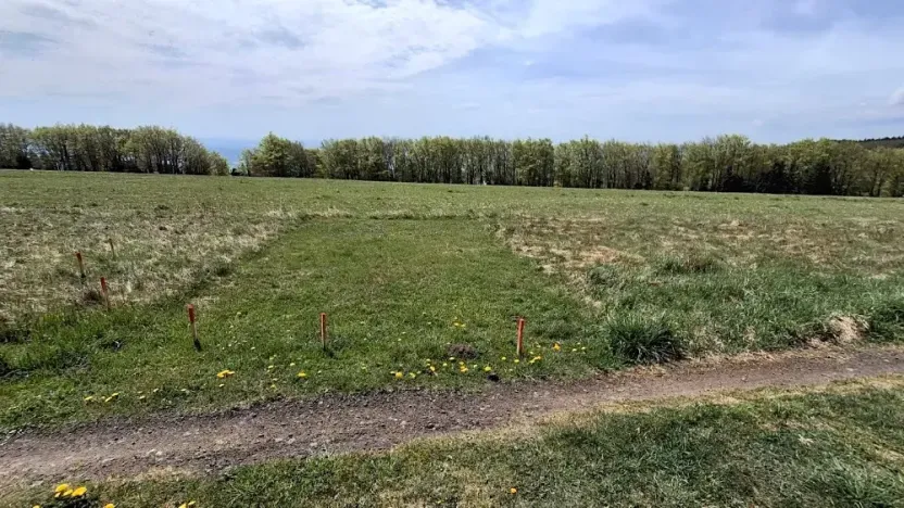 Prodej louky, Osek, 1013 m2