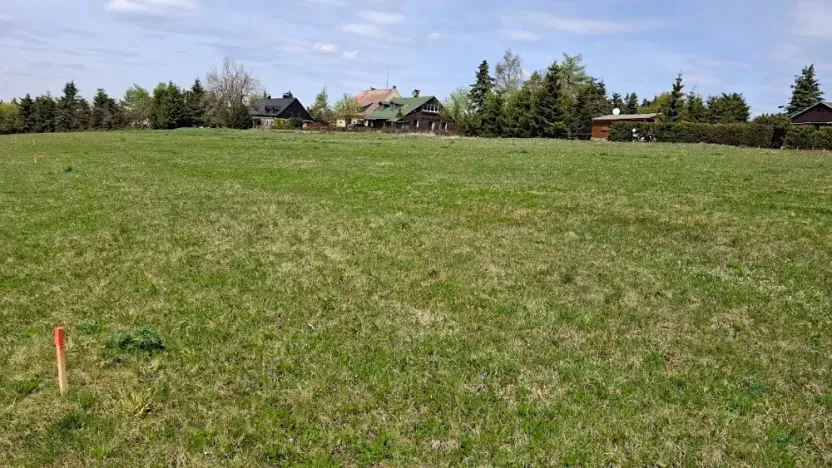 Prodej louky, Osek, 1013 m2