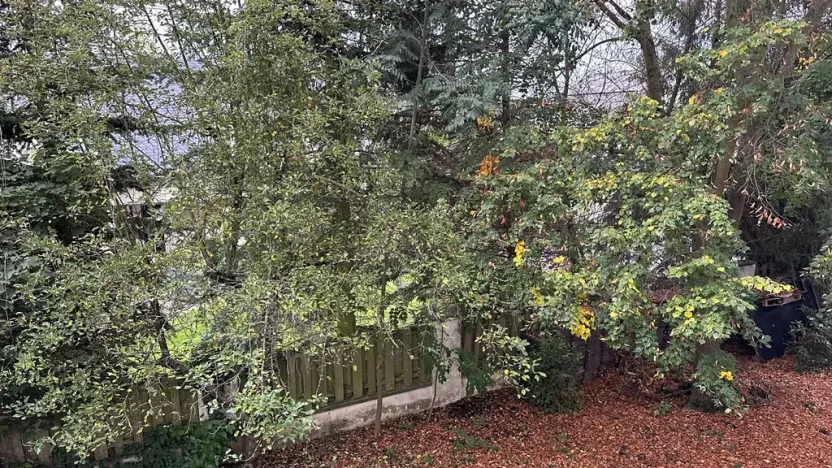 Pronájem bytu 1+kk, Průhonice, U Křížku, 35 m2