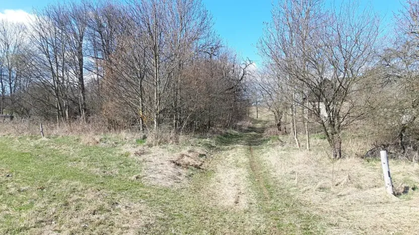 Prodej pozemku pro bydlení, Hynčina, 2595 m2