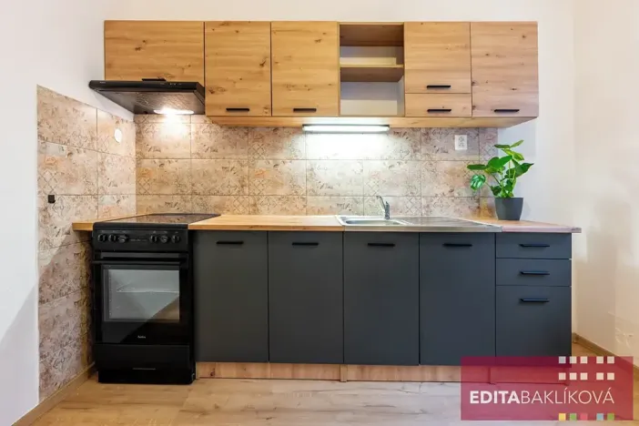 Pronájem bytu 1+1, Olomouc, Družební, 36 m2
