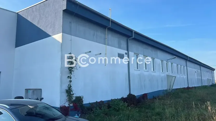 Pronájem skladu, Šlapanice, 4600 m2