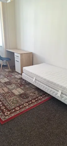 Pronájem pokoje, Brno, Smetanova, 23 m2