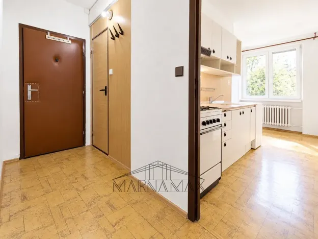 Prodej bytu 1+1, Jirkov, Krušnohorská, 42 m2