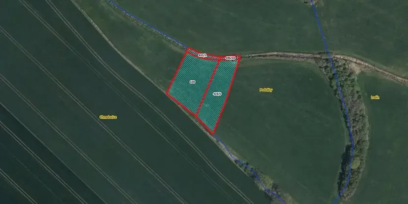 Prodej louky, Králíky, 3812 m2