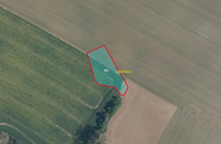 Prodej pole, Stránka, 2020 m2