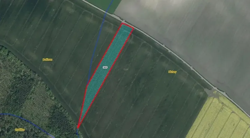 Prodej pole, Běchary, 12202 m2