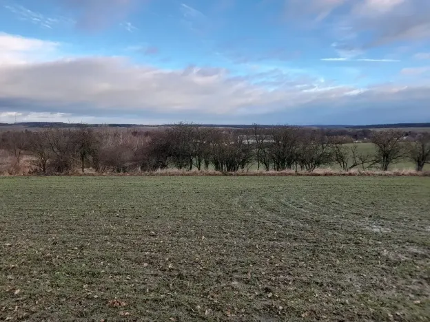 Prodej sadu/vinice, Malý Újezd, 7862 m2