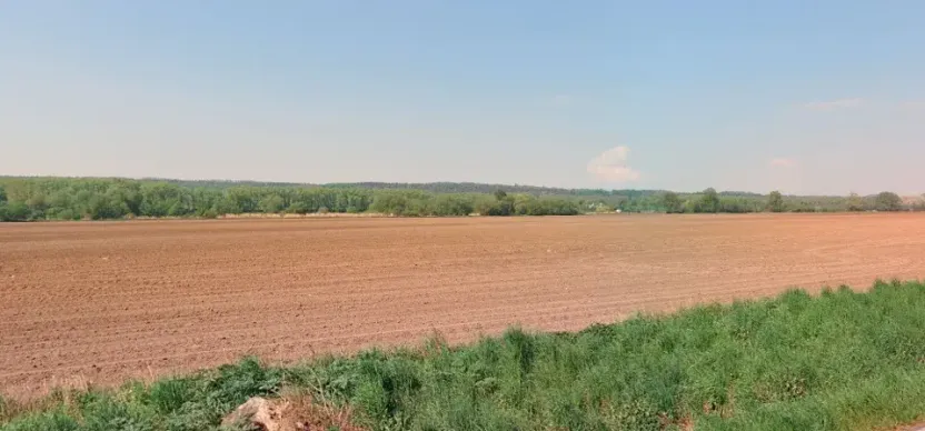 Prodej pole, Štětí, 14700 m2