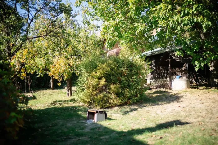 Prodej rodinného domu, Římov, 195 m2