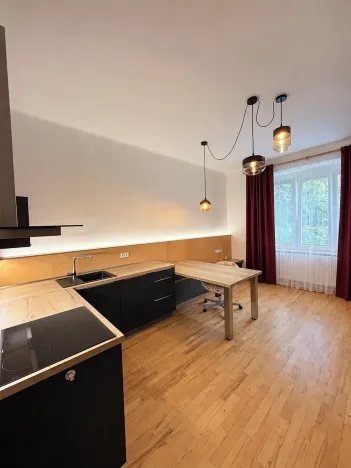 Pronájem bytu 2+kk, Praha - Žižkov, Baranova, 58 m2