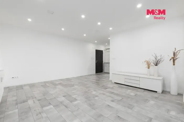 Prodej atypického bytu, Ostrava - Slezská Ostrava, Chittussiho, 55 m2