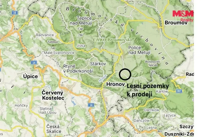 Prodej louky, Vysoká Srbská, 26090 m2