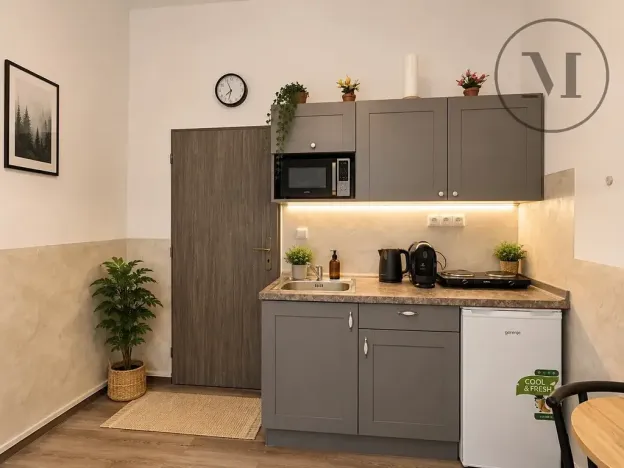 Prodej bytu 1+kk, Benešov nad Černou, 17 m2