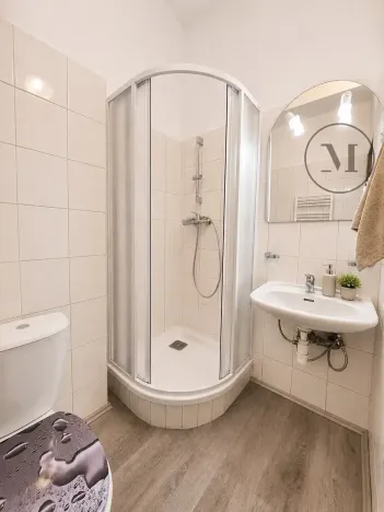 Prodej bytu 1+kk, Benešov nad Černou, 17 m2