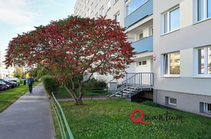 Prodej bytu 2+kk, Praha - Stodůlky, Přecechtělova, 43 m2