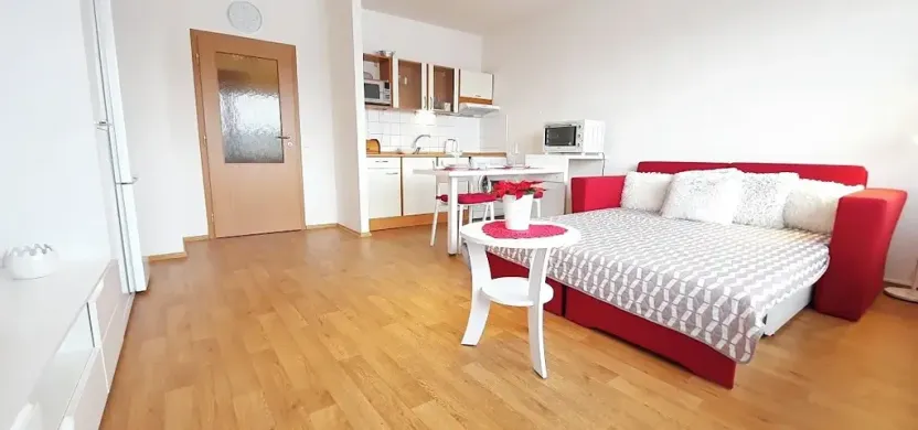 Pronájem bytu 1+kk, Brno, Sevastopolská, 38 m2
