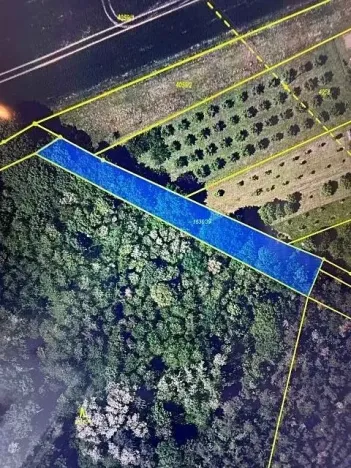 Prodej lesa, Březolupy, 1340 m2