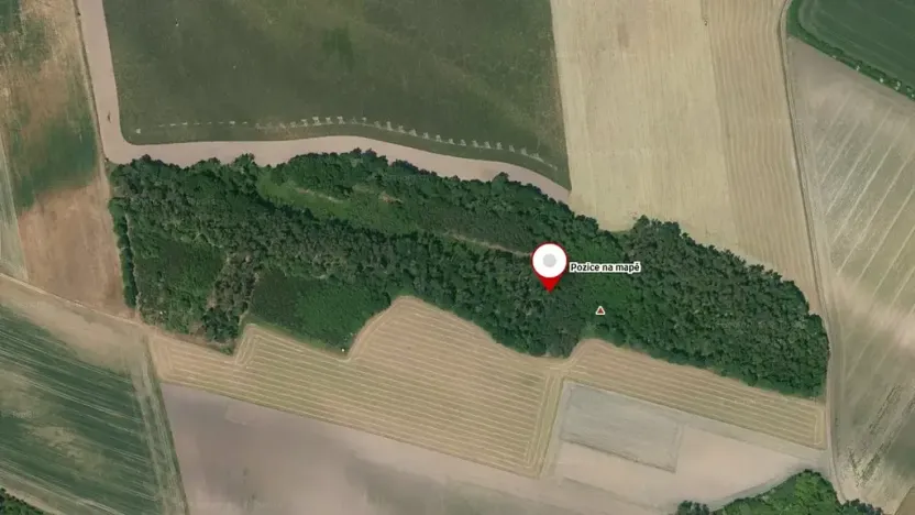 Prodej lesa, Kovanice, 8552 m2