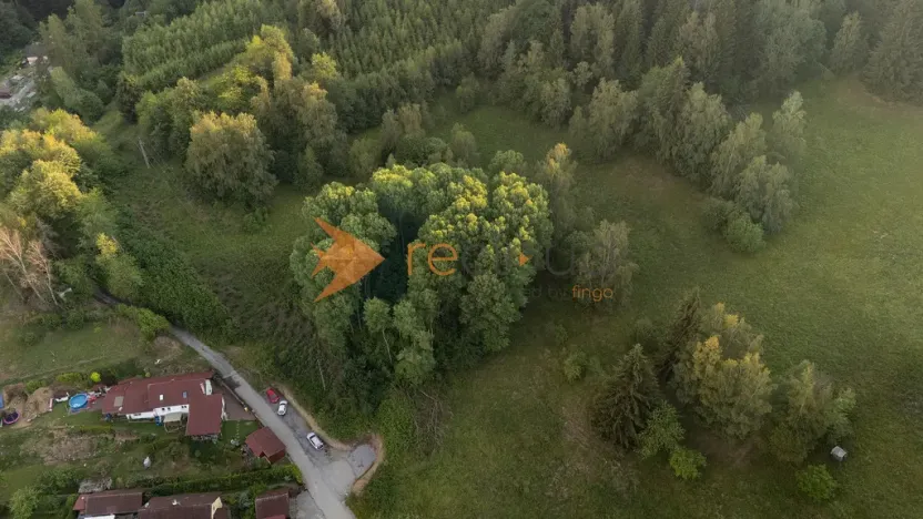 Prodej lesa, Větřní, 3373 m2