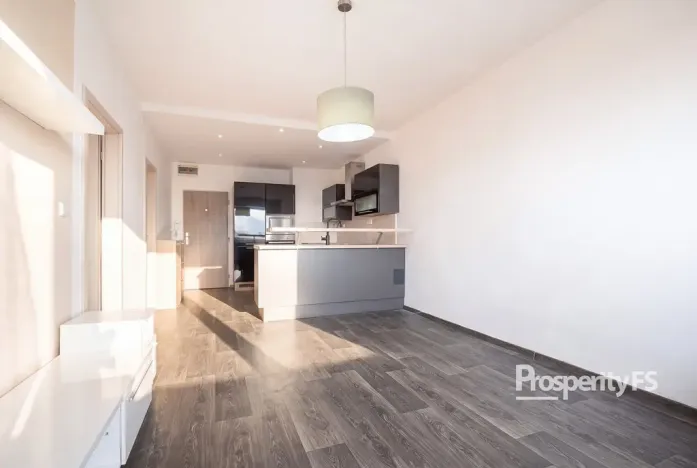 Prodej bytu 2+kk, Děčín - Děčín II-Nové Město, El. Krásnohorské, 48 m2