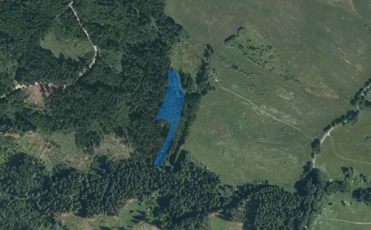 Dražba lesa, Dlouhý Újezd, 7291 m2