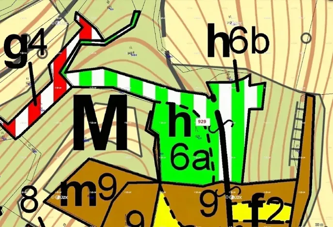 Dražba lesa, Zálezly, 5736 m2
