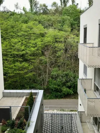 Pronájem bytu 2+kk, Praha - Žižkov, Hartigova, 61 m2