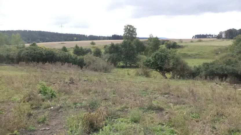 Prodej pole, Tachov, 3504 m2
