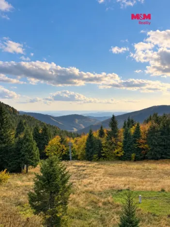 Prodej, Loučná nad Desnou - Kouty nad Desnou, 39 m2