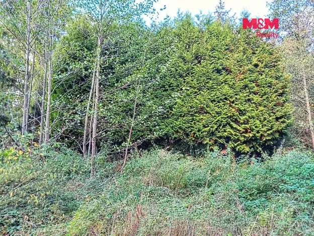 Prodej pozemku pro bydlení, Aš, 369 m2