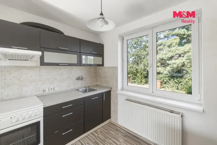 Pronájem rodinného domu, Dolní Beřkovice, Dolní hájek, 100 m2