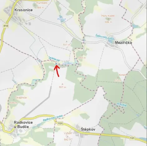 Prodej lesa, Radkovice u Budče, 783 m2