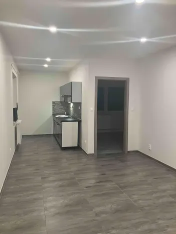 Pronájem bytu 2+kk, Libiš, Luční, 43 m2