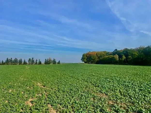 Prodej pole, Praha - Liboc, Na Padesátníku I, 24066 m2