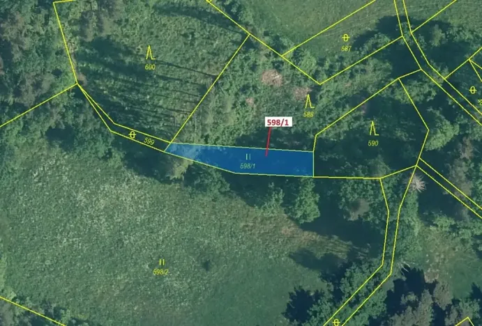 Dražba louky, Zavlekov, 272 m2