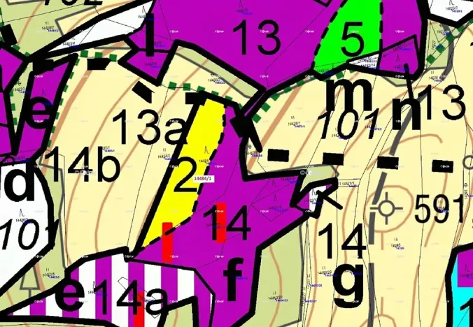 Dražba lesa, Hovězí, 2322 m2