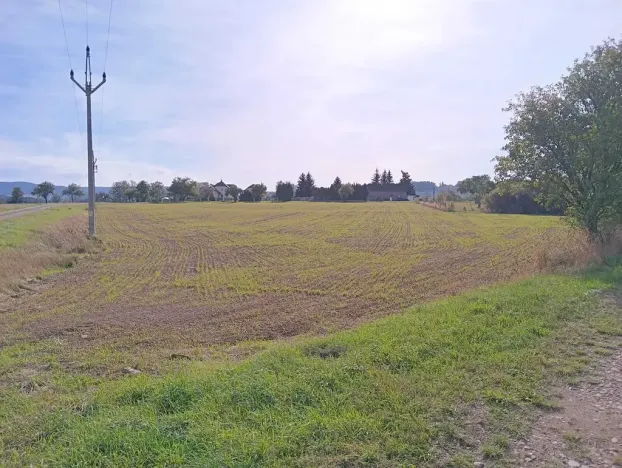 Dražba pozemku pro bydlení, Vrbice, 9030 m2